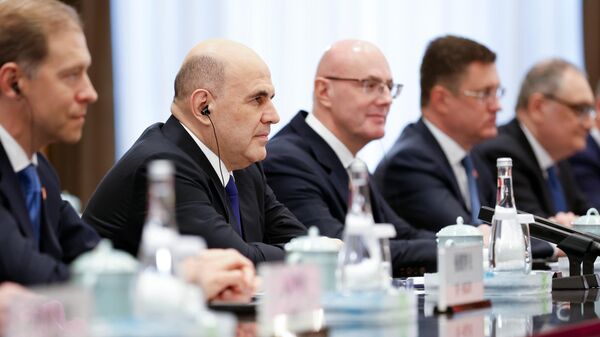 俄总理：俄罗斯正在研究针对中国游客实行对等免签政策 - 俄罗斯卫星通讯社