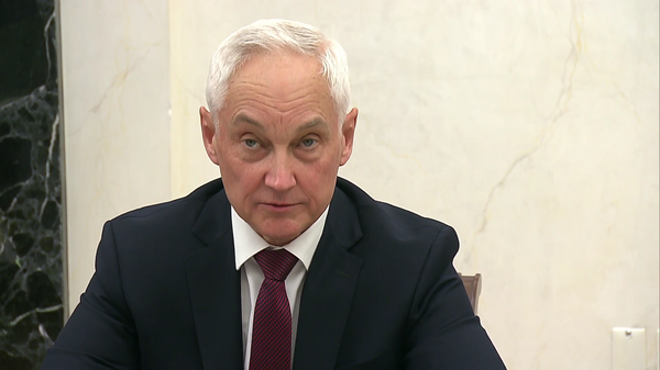 俄防长称应启动新地岛核试验筹备工作 - 俄罗斯卫星通讯社