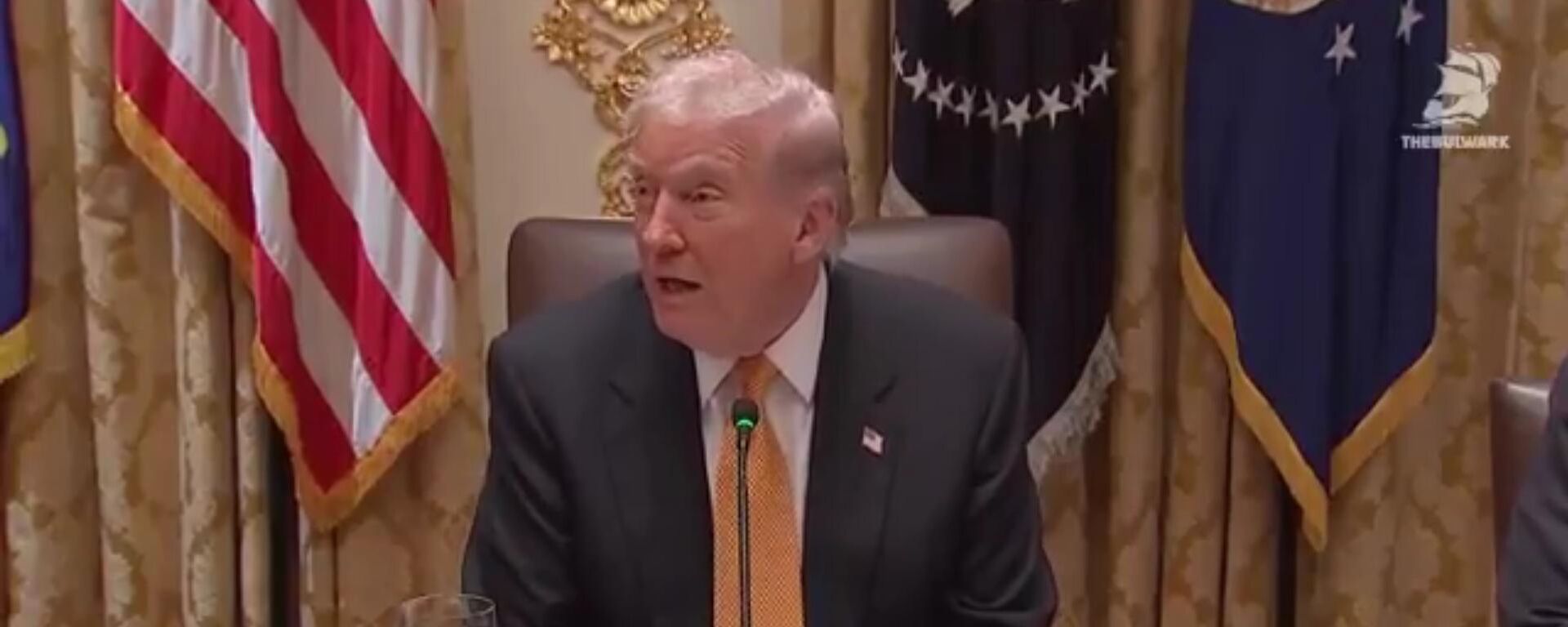 特朗普称其“继承”了乌克兰冲突，但决心推动其终结 - 俄罗斯卫星通讯社, 1920, 08.11.2025