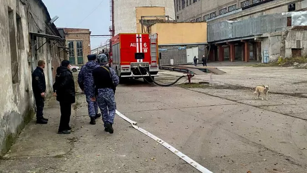 乌军试图袭击俄库尔斯克一热电厂 - 俄罗斯卫星通讯社