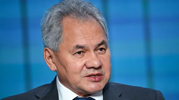 俄安全会议秘书：俄方在台湾、新疆、西藏和香港问题上一贯支持中方立场 - 俄罗斯卫星通讯社