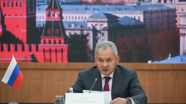 俄安全会议秘书：俄美对全球和平与安全具有特殊责任 - 俄罗斯卫星通讯社