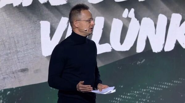 匈牙利外长痛批欧盟当局：正在把战争和黑手党拖进欧盟 - 俄罗斯卫星通讯社