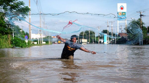 泰國洪災 - 俄羅斯衛星通訊社