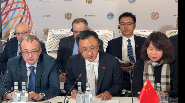 发改委官员：世界经济增长动能减弱，中国愿同上合组织重振全球发展事业 - 俄罗斯卫星通讯社