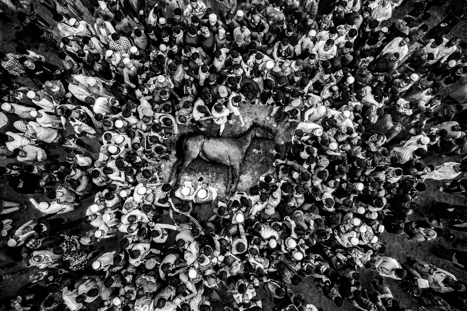 Последний забег: падение чемпиона - 俄羅斯衛星通訊社, 1920, 18.11.2025