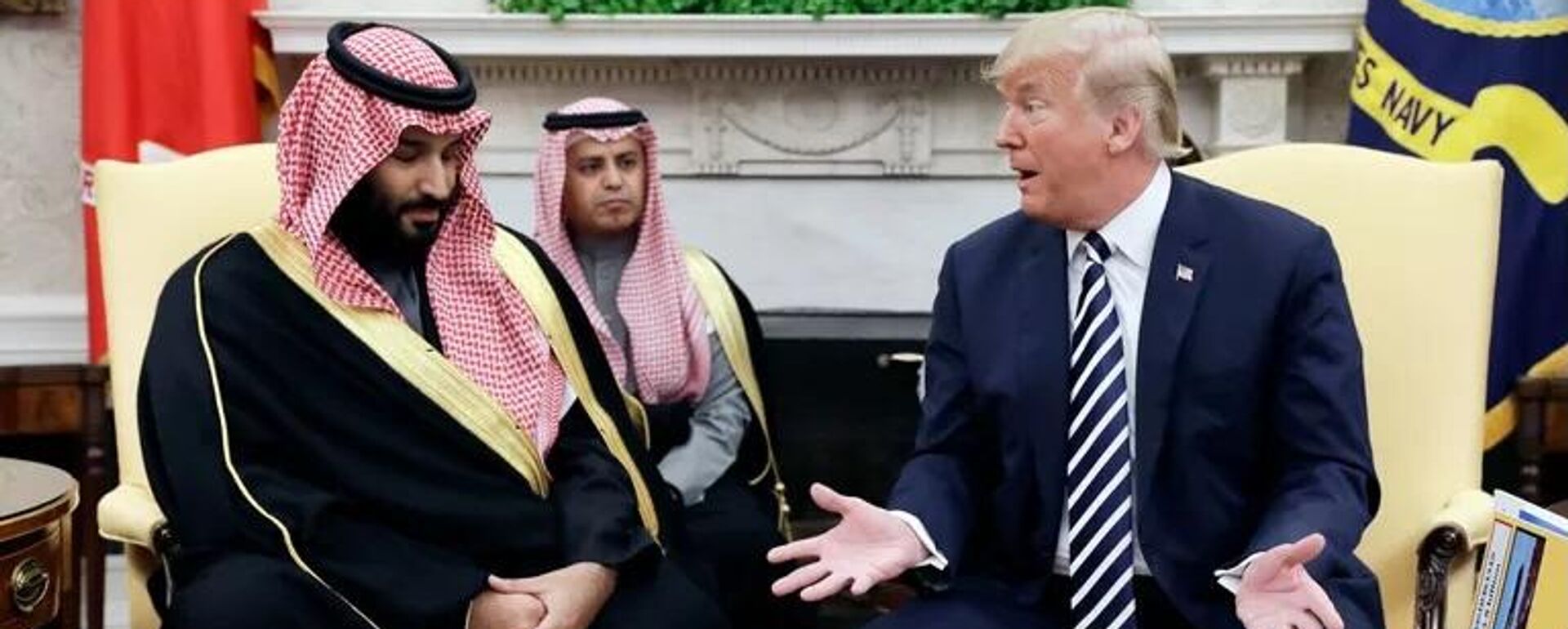 美总统特朗普与沙特王储穆罕默德·本·萨勒曼举行会谈 - 俄罗斯卫星通讯社, 1920, 19.11.2025