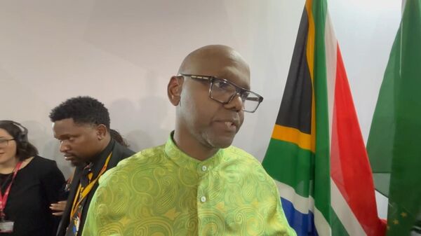 南非顶住美国压力，坚定支持G20峰会宣言 - 俄罗斯卫星通讯社