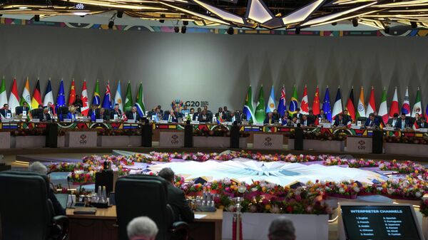 二十国集团（G20）峰会 - 俄罗斯卫星通讯社
