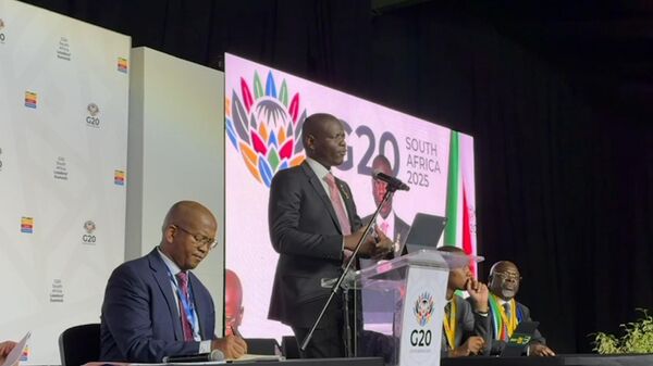 南非外长驳斥与美国分歧传言：非洲关键矿产合作迈出新步伐 - 俄罗斯卫星通讯社