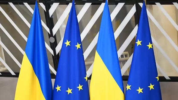 欧盟外交与安全政策高级代表提出欧盟与俄罗斯就乌问题谈判的起点 - 俄罗斯卫星通讯社