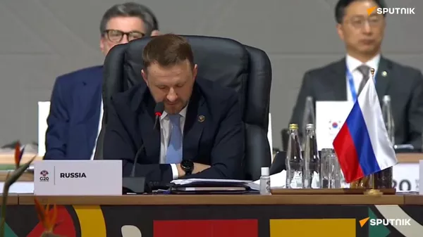 俄G20代表团团长：金砖国家与全球南方已成全球增长主导驱动力 - 俄罗斯卫星通讯社