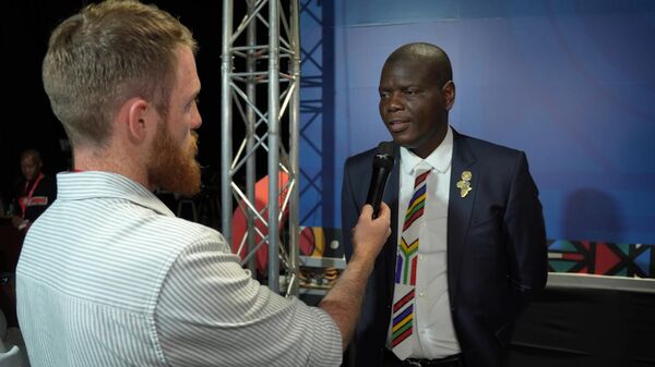 南非外长重申支持乌克兰和平努力 - 俄罗斯卫星通讯社