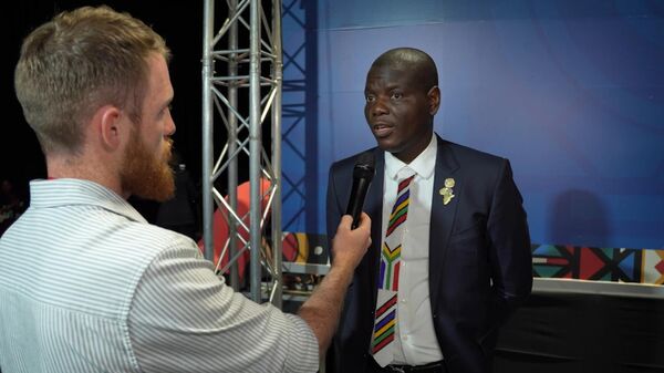 南非外长盛赞G20：非洲与多边主义的“重大”胜利 - 俄罗斯卫星通讯社