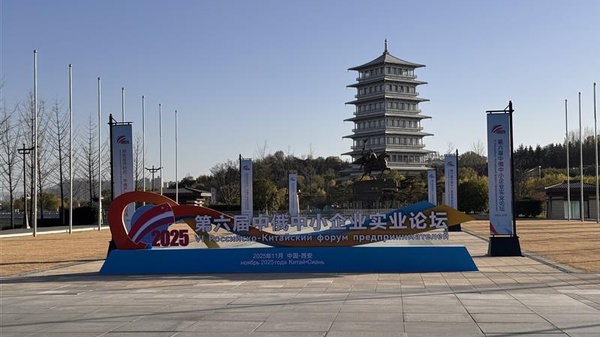 西安公佈中國各省對俄合作活躍度排行榜 - 俄羅斯衛星通訊社