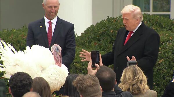 特朗普在白宫赦免火鸡，引全场爆笑 - 俄罗斯卫星通讯社