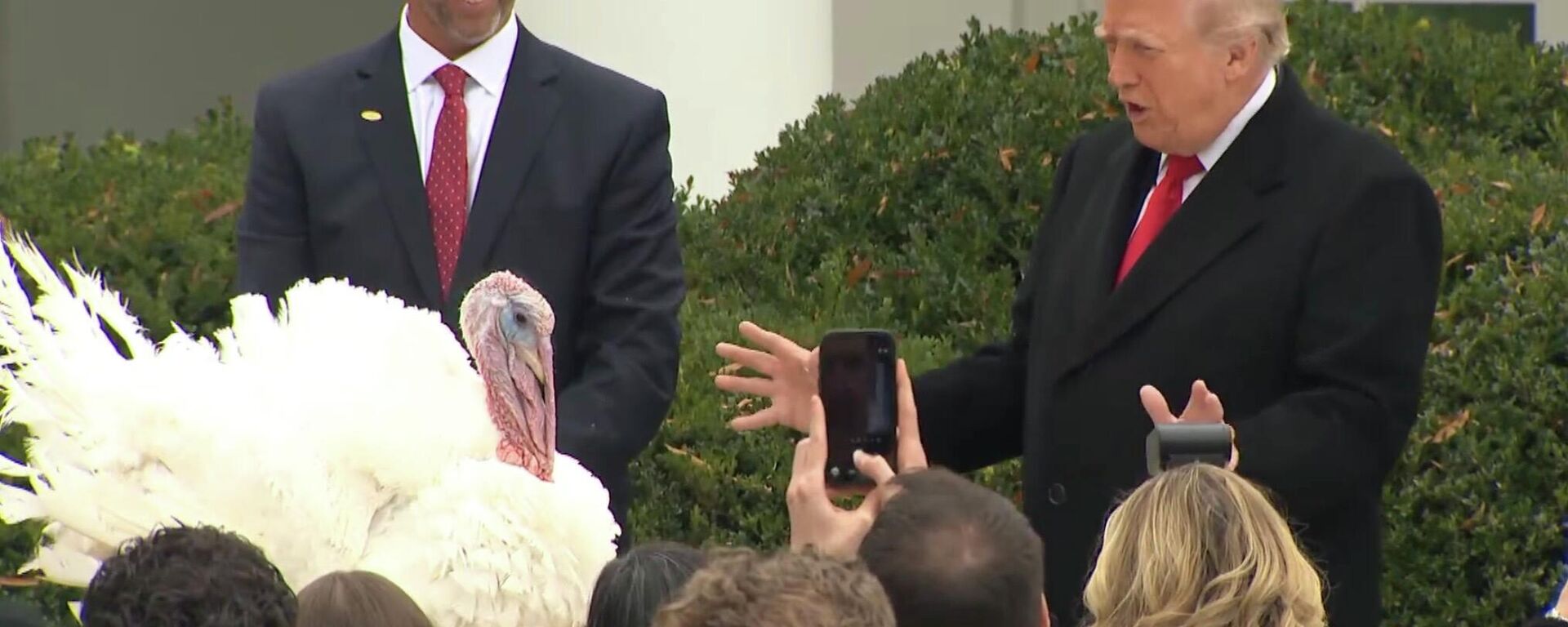 特朗普在白宮赦免火雞，引全場爆笑 - 俄羅斯衛星通訊社, 1920, 26.11.2025