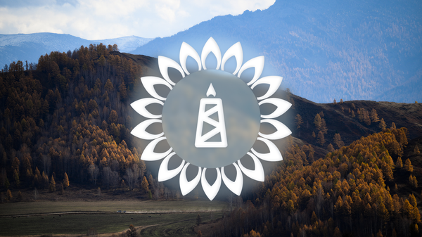  - 俄罗斯卫星通讯社