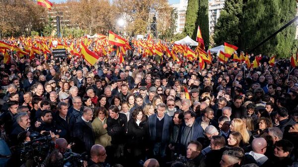 媒体：马德里爆发数千人反政府腐败抗议 - 俄罗斯卫星通讯社