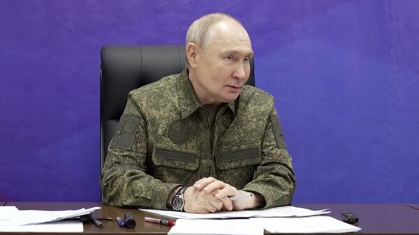 俄罗斯总统普京 - 俄罗斯卫星通讯社