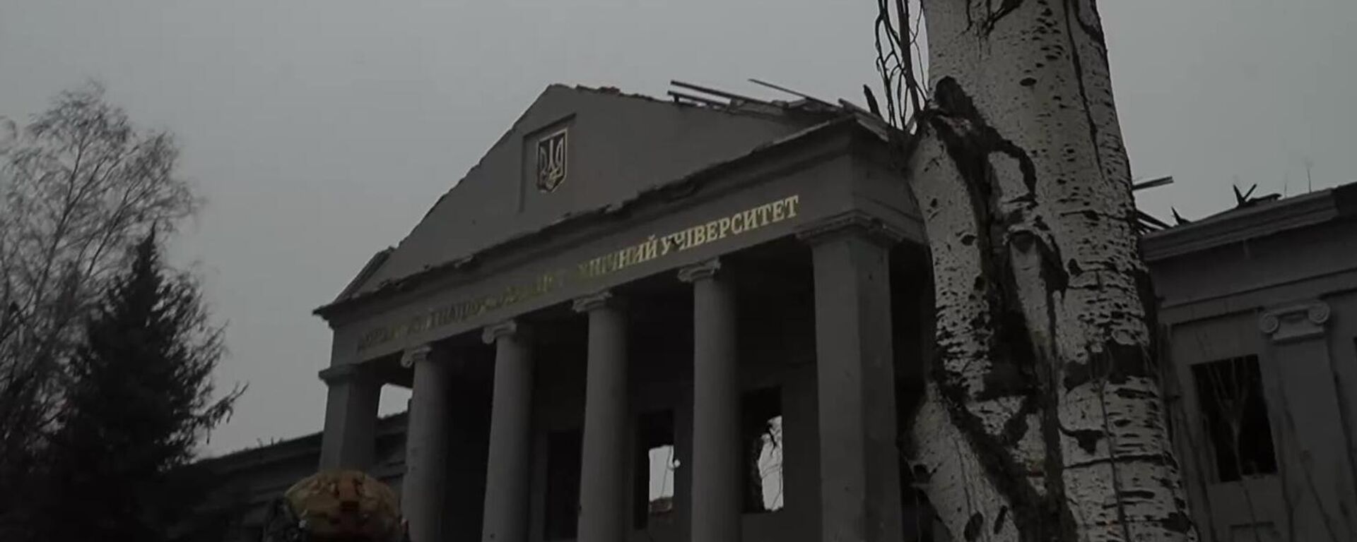 梅德韋傑夫：在俄美進行談判期間歐洲推動戰鬥到最後一個烏克蘭人概念 - 俄羅斯衛星通訊社, 1920, 03.12.2025