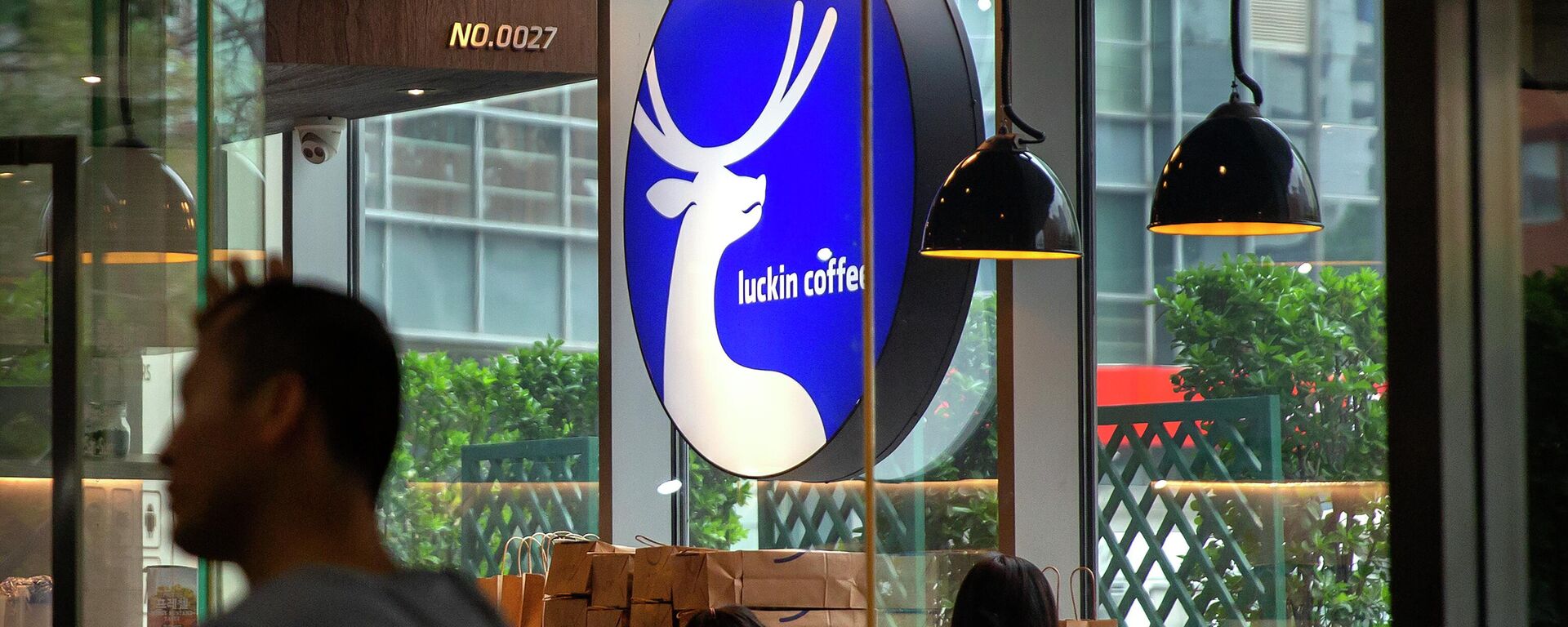 中餐馆进军美国：地缘政治紧张背景下的商业博弈 - 俄罗斯卫星通讯社, 1920, 01.12.2025