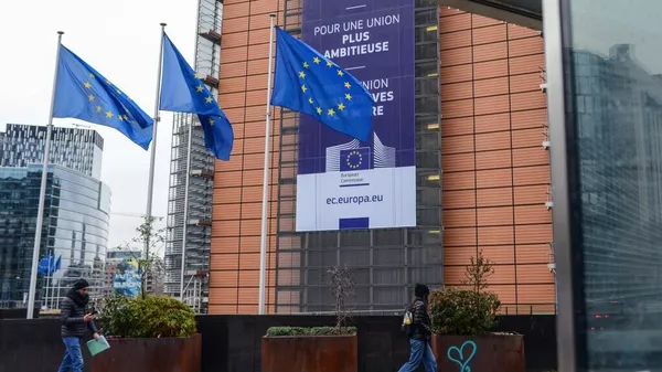 波兰外长尖锐回应马斯克提议废除欧盟 - 俄罗斯卫星通讯社