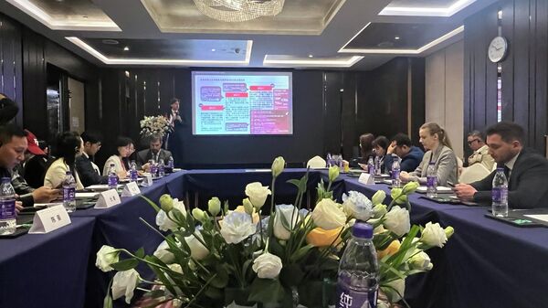 莫斯科与中国各省将在高科技领域展开合作 - 俄罗斯卫星通讯社