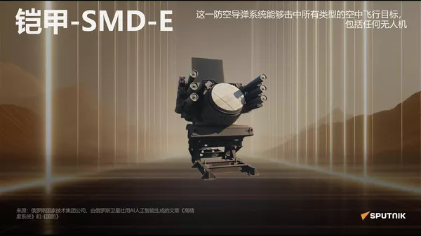 “铠甲”-SMD-E防空系统 - 俄罗斯卫星通讯社