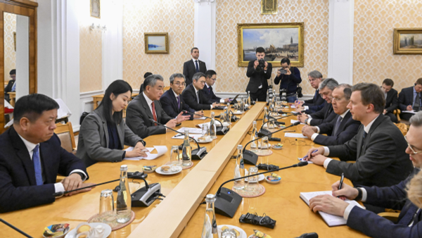 中俄外长莫斯科会晤：共同维护二战成果，深化务实合作 - 俄罗斯卫星通讯社