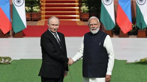 莫迪：普京25年前为俄印战略伙伴关系奠定基础 - 俄罗斯卫星通讯社