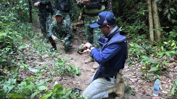 柬埔寨国防部否认有关向与泰国边界调动重型武器的消息 - 俄罗斯卫星通讯社