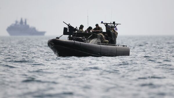 英国历史学家：英军在冲突中如无美国支持恐难撑过十天 - 俄罗斯卫星通讯社