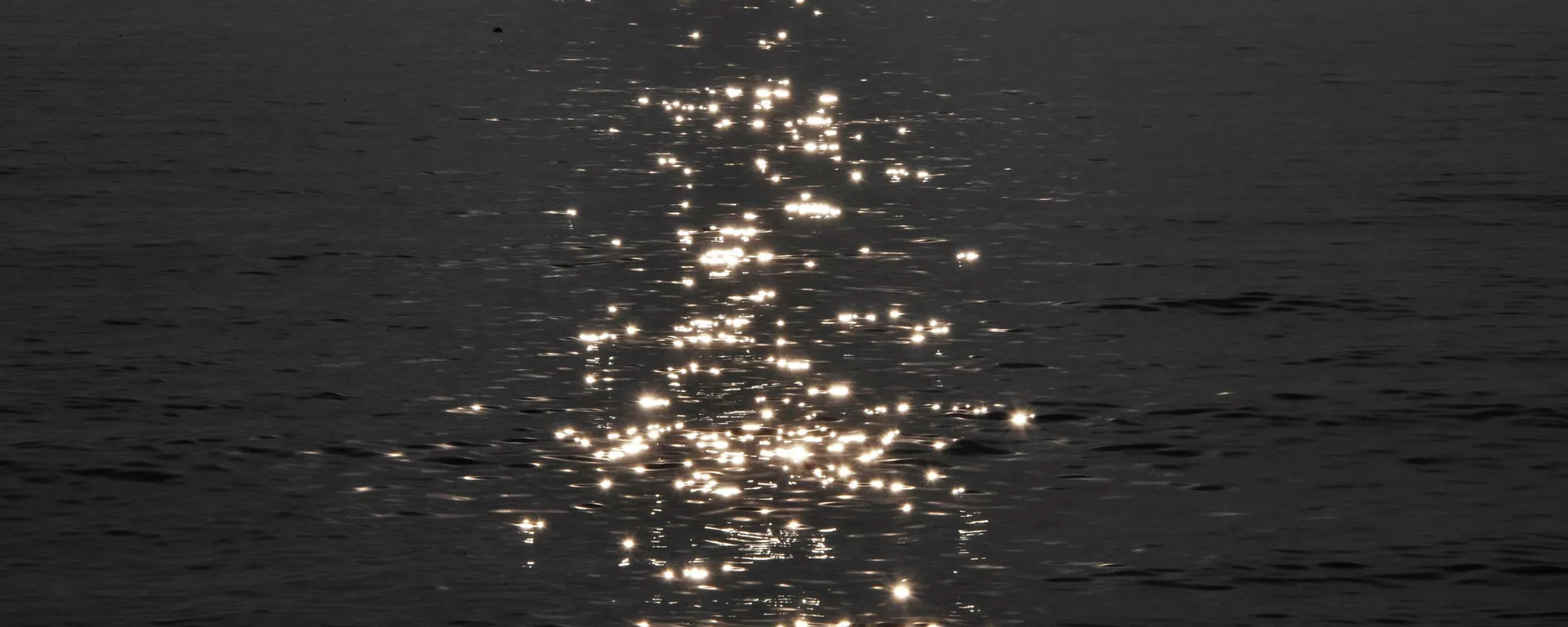 黑海 - 俄罗斯卫星通讯社, 1920, 08.12.2025