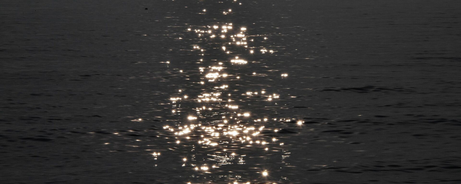 黑海 - 俄羅斯衛星通訊社, 1920, 08.12.2025