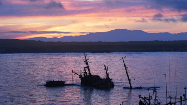 媒体：日本岩手县至少2万人收到海啸避难预警 - 俄罗斯卫星通讯社