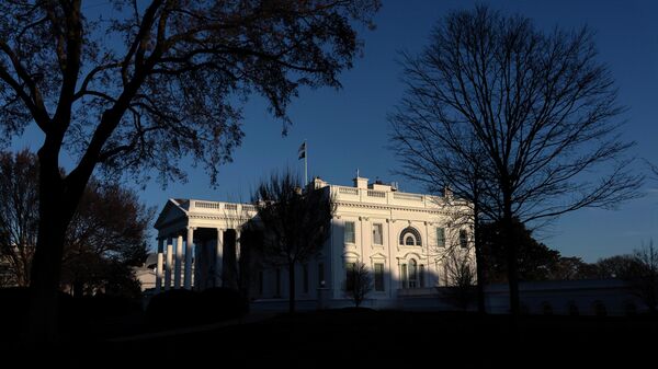 美國 - 俄羅斯衛星通訊社