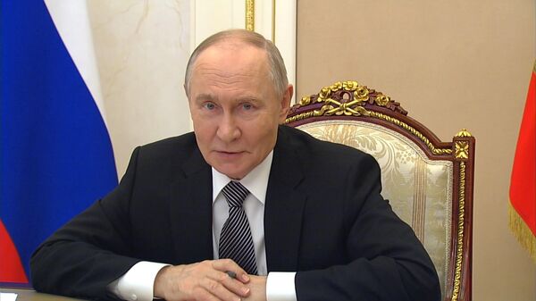 普京：若不利用人工智能，将输掉我们所珍视的一切 - 俄罗斯卫星通讯社