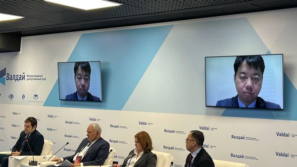 中國人民大學重陽金融研究院執行院長王文 - 俄羅斯衛星通訊社