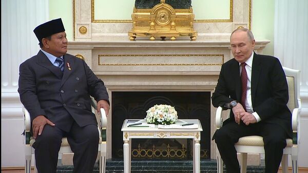 普京就严重洪灾向印尼总统当面致哀 - 俄罗斯卫星通讯社