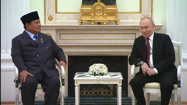 普京就严重洪灾向印尼总统当面致哀 - 俄罗斯卫星通讯社