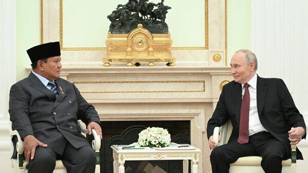 普京：俄羅斯和印尼將能找到維持貿易穩定的解決方法 - 俄羅斯衛星通訊社