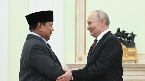 普京：俄羅斯和印尼關係穩步發展 經貿關係保持良好發展速度 - 俄羅斯衛星通訊社