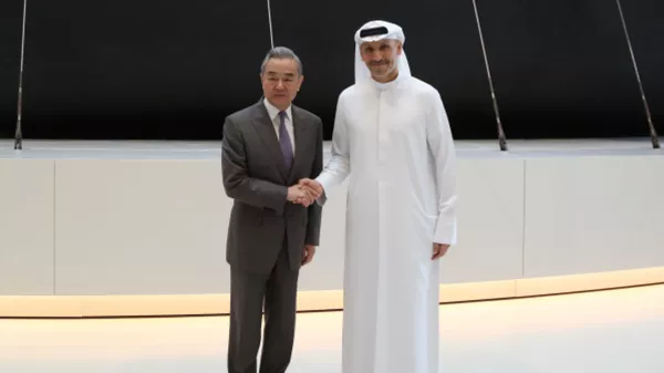 王毅会见阿联酋总统中国事务特使哈勒敦 - 俄罗斯卫星通讯社