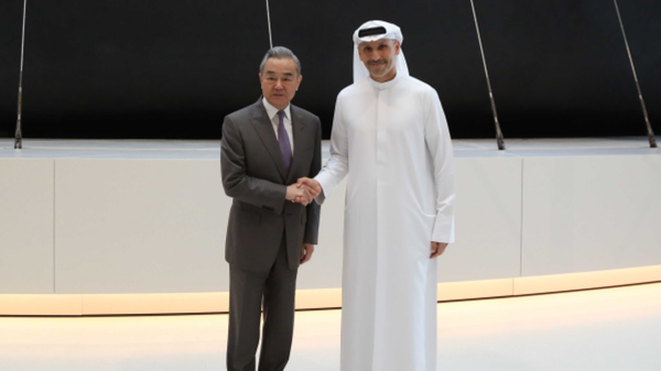 王毅会见阿联酋总统中国事务特使哈勒敦 - 俄罗斯卫星通讯社