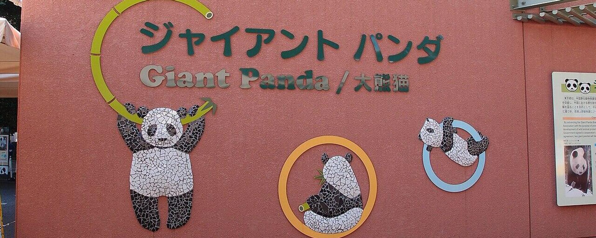 东京上野动物园 - 俄罗斯卫星通讯社, 1920, 15.12.2025