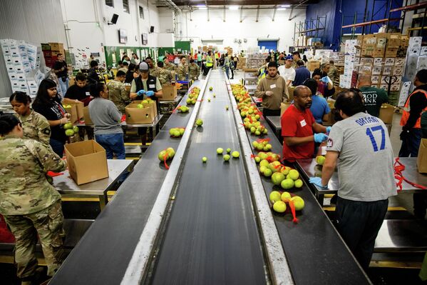 2025年10月29日,美國加州國民警衛隊在洛杉磯食品銀行分揀農產品。 2025年10月29日,美國加州國民警衛隊在洛杉磯食品銀行分揀農產品。 - 俄羅斯衛星通訊社