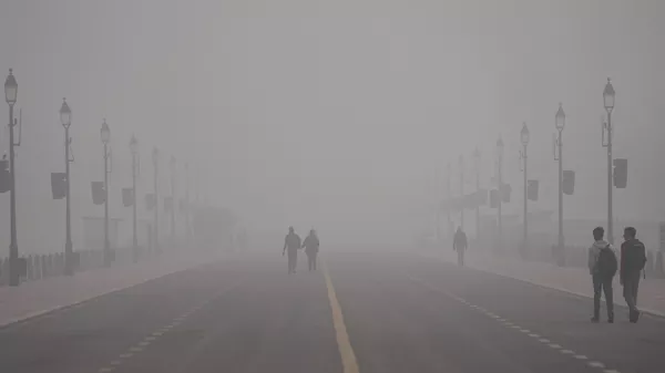 新德里 - 俄罗斯卫星通讯社