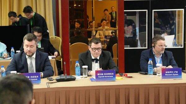 今日俄罗斯副总编：俄中媒体或可在神经网络训练方面开展合作 - 俄罗斯卫星通讯社