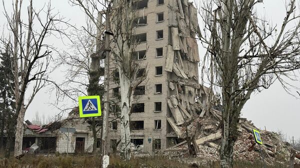 美记者谴责乌军对平民犯下的罪行 - 俄罗斯卫星通讯社